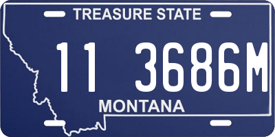 MT license plate 113686M