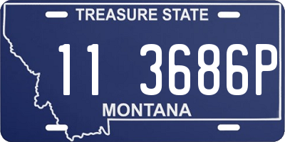 MT license plate 113686P