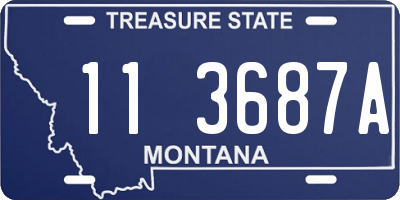 MT license plate 113687A