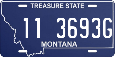 MT license plate 113693G