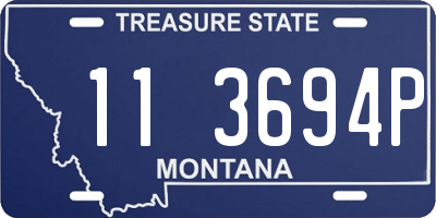 MT license plate 113694P