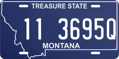 MT license plate 113695Q
