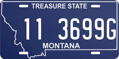MT license plate 113699G