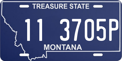 MT license plate 113705P