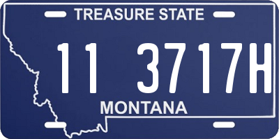 MT license plate 113717H