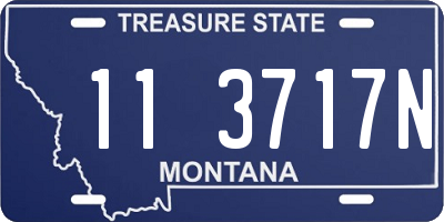 MT license plate 113717N