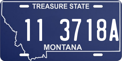MT license plate 113718A