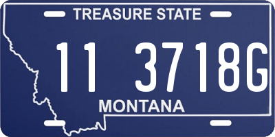 MT license plate 113718G