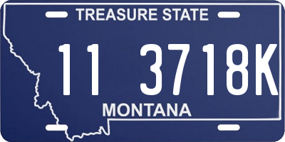 MT license plate 113718K