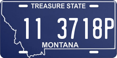 MT license plate 113718P