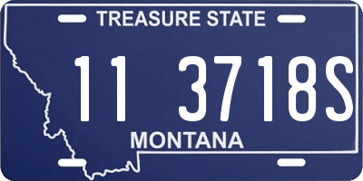 MT license plate 113718S