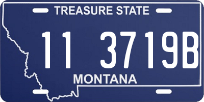 MT license plate 113719B