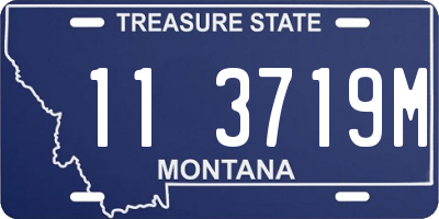 MT license plate 113719M