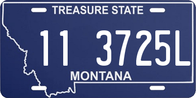 MT license plate 113725L