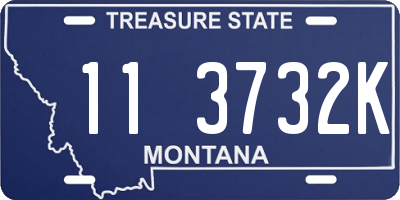 MT license plate 113732K