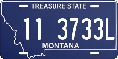 MT license plate 113733L