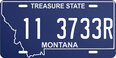 MT license plate 113733R