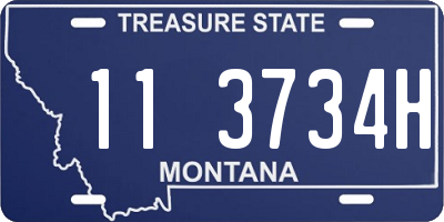 MT license plate 113734H