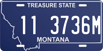 MT license plate 113736M