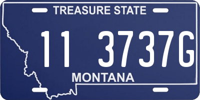 MT license plate 113737G