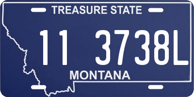 MT license plate 113738L