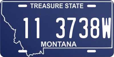 MT license plate 113738W