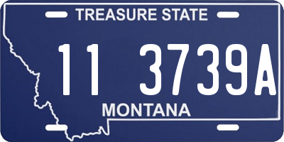 MT license plate 113739A