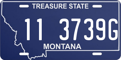MT license plate 113739G
