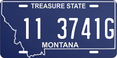 MT license plate 113741G