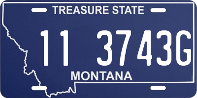 MT license plate 113743G