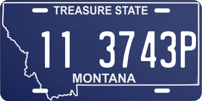 MT license plate 113743P