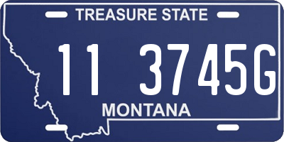 MT license plate 113745G