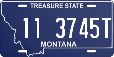 MT license plate 113745T