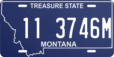 MT license plate 113746M