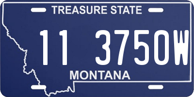 MT license plate 113750W