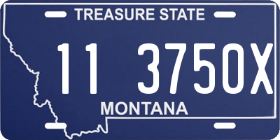 MT license plate 113750X