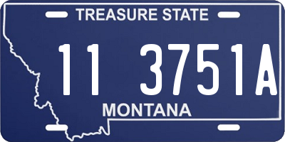 MT license plate 113751A