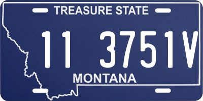 MT license plate 113751V