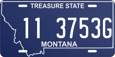 MT license plate 113753G