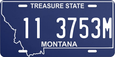MT license plate 113753M