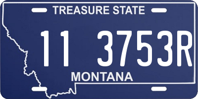 MT license plate 113753R