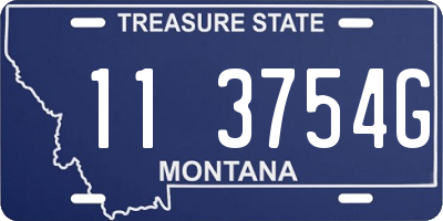MT license plate 113754G