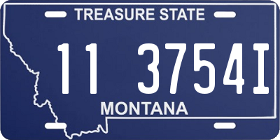 MT license plate 113754I