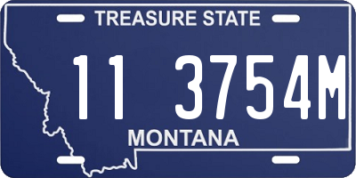 MT license plate 113754M