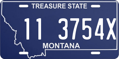 MT license plate 113754X