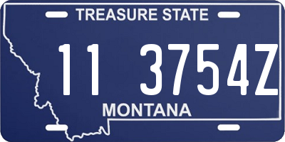 MT license plate 113754Z