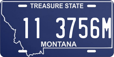 MT license plate 113756M