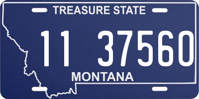 MT license plate 113756O