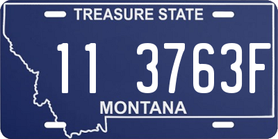 MT license plate 113763F