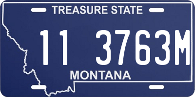 MT license plate 113763M